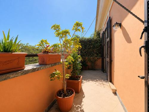 Roma Family Terrace