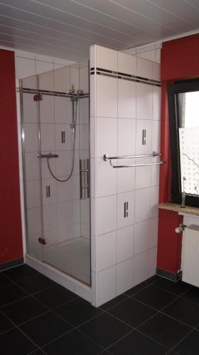 ein Badezimmer mit Dusche mit Glastür in der Unterkunft Haus Straus in Sosberg