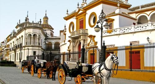Quiet apartment in historic Seville