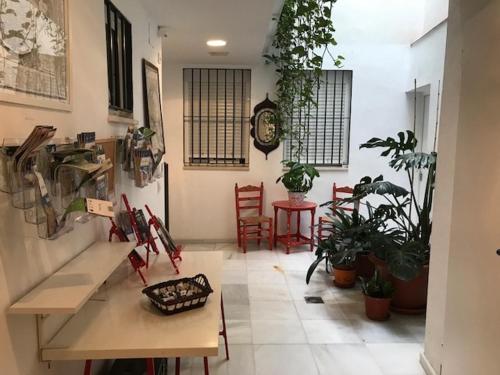 Quiet apartment in historic Seville
