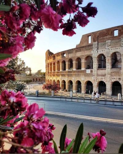Beautiful Colosseum Roma