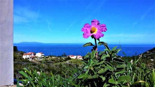 Gallery image of Appartamento Nature Il Colle in Marciana