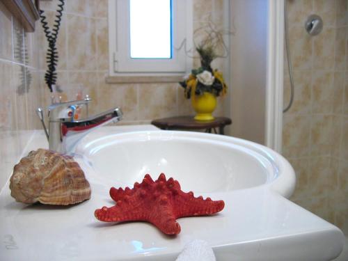 ベッラーリア・イジェア・マリーナにあるHotel Olimpiaの洗面台の上に座る赤ヒトデ
