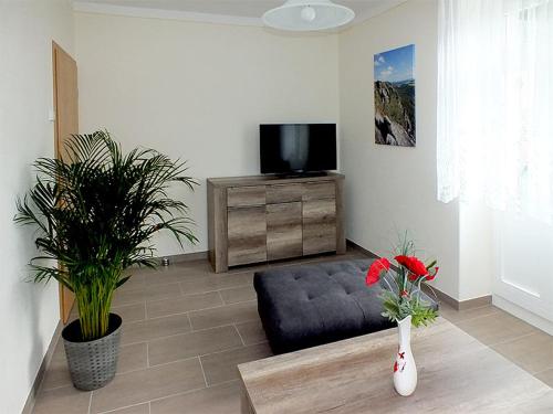 ein Wohnzimmer mit einem Sofa und einem TV in der Unterkunft Ferienwohnungen "Am Elbufer" in Bad Schandau