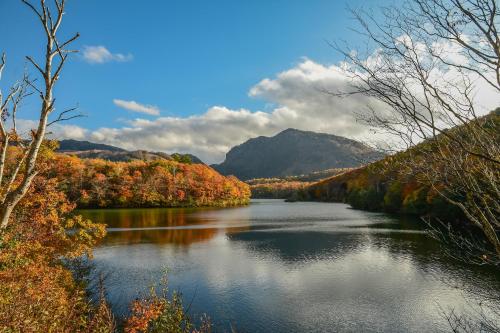 Aspen Shiga