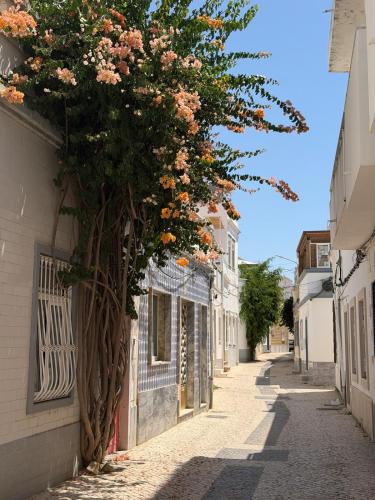 Townhouse with Rooftop Terrace in Olhão