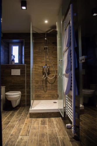 une salle de bain avec douche et toilettes dans l'établissement Les Chambres de Louise, à Habsheim