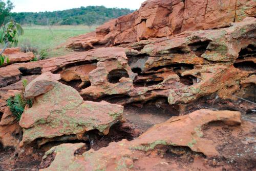 a red rock wall with some green plants on it at Bateleur Nature Reserve in Modimolle