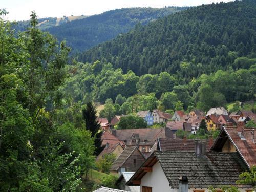 a town with houses and trees in a mountain at Maison D'hôtes Du Landersbach in Sondernach