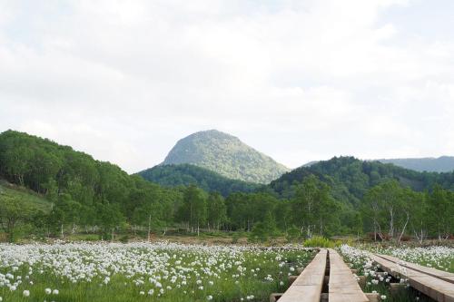 Aspen Shiga