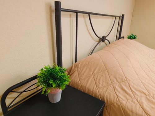 Sonia's Terrace Apartment - 5 Min to Beach