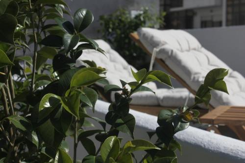 Maré Guesthouse - Garden, Yoga & Surf