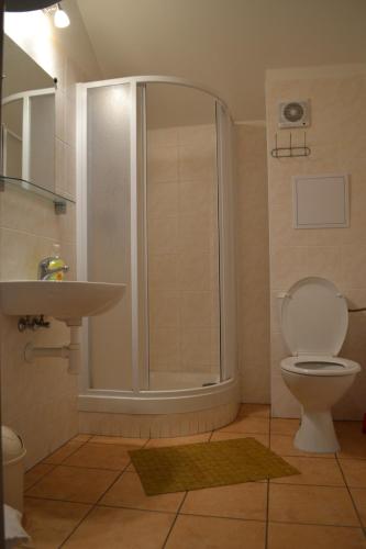 a bathroom with a shower and a toilet and a sink at Orbit Karlov pod Pradědem in Malá Morávka