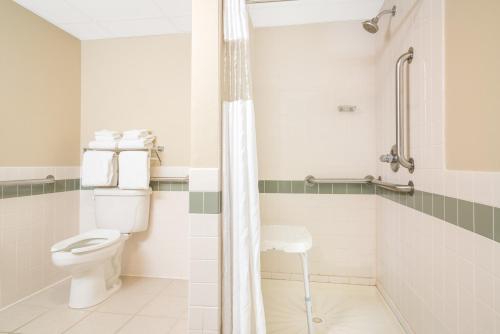 ein Bad mit einem WC und einer Dusche in der Unterkunft Baymont by Wyndham Baxter/Brainerd Area in Baxter