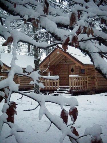 a log cabin with snow on the branches of a tree at Chambres d'hôtes La Gargaille in Alièze