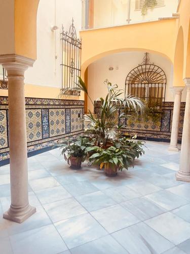 Apartamento Patio del Museo