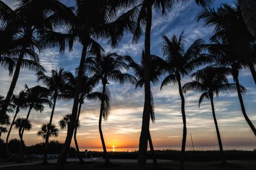 a group of palm trees on a beach at sunset at Sanibel Island Beach Resort in Sanibel