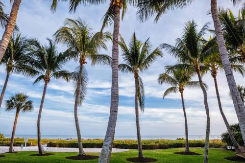 サニベルにあるSanibel Island Beach Resortの浜辺のヤシ並木