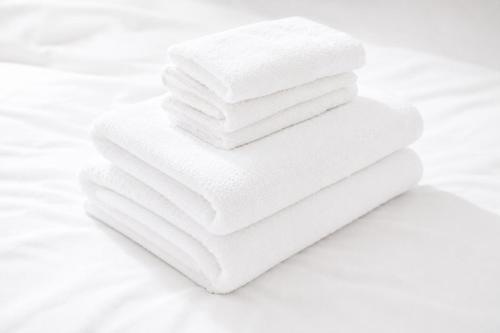 Swan Lake Inn Shinjuku Room 501 - Vacation STAY 16588