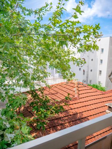 Central Family Flat Volos
