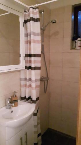 a bathroom with a shower curtain and a sink at BSG Apartments in Selfoss