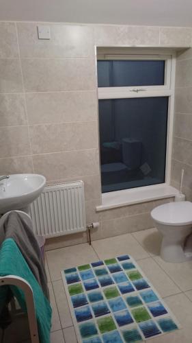 a bathroom with a sink and a toilet and a window at Esker House in Donegal