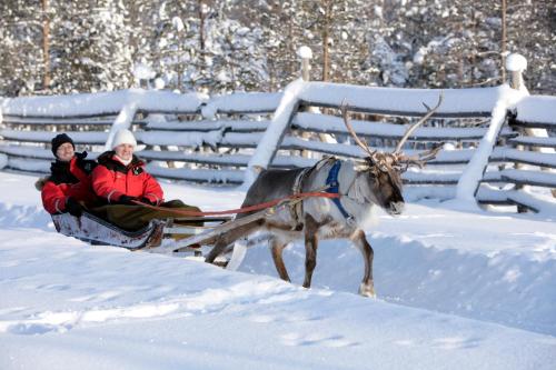 two people on a sleigh being pulled by a reindeer at Santa Claus Holiday Village in Rovaniemi