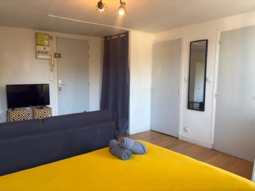 Le studio Aigle - proche quais rive droite - 249