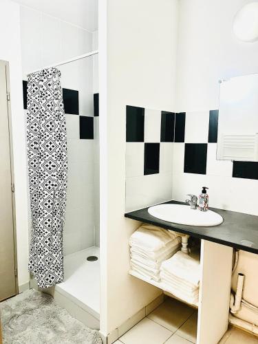 Le Petit Toulousain 2 chambres et Parking privé