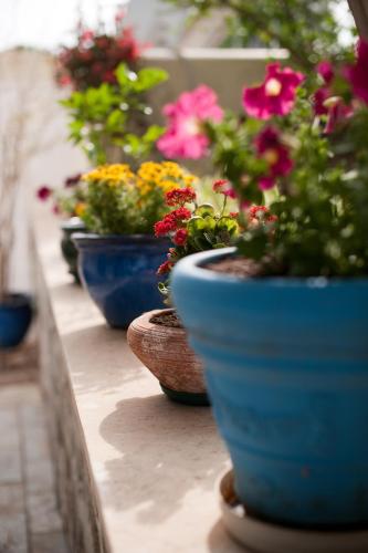 a row of blue potted plants on a ledge at Sideratos Apartments in Karfas
