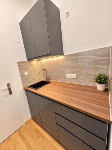 Cozy City Apartment near Museumsquartier