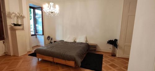 Grand appartement familial, proche ONU et gare, 3 chambres et canapé-lit