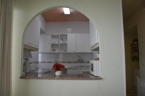Kuchyňa alebo kuchynka v ubytovaní Apartamentos Mediterraneo
