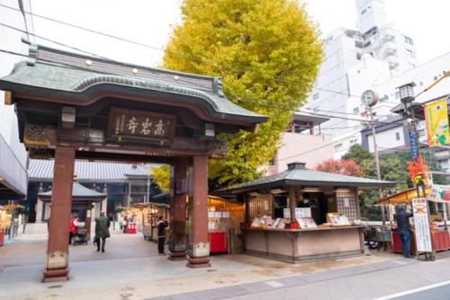 Bigtree旅館