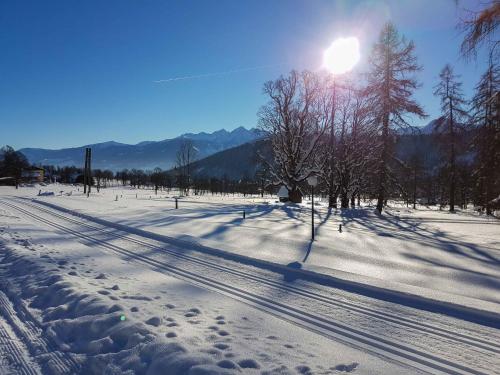 a snow covered field with the sun shining behind trees at Appartementhaus Sonne in Ramsau am Dachstein