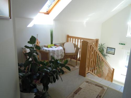 a room with a table and a potted plant at Gästehaus Zur schönen Aussicht in Wies