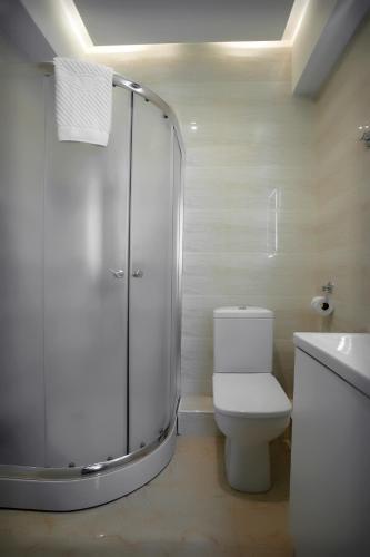 a bathroom with a shower and a toilet and a sink at Mildom Premium Hotel in Almaty