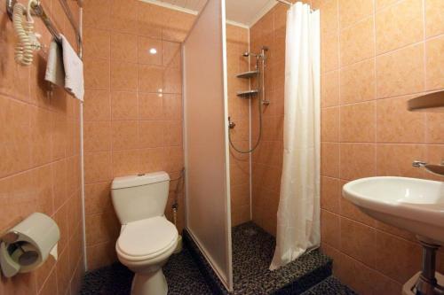 a bathroom with a toilet and a sink and a shower at Raze in Palanga