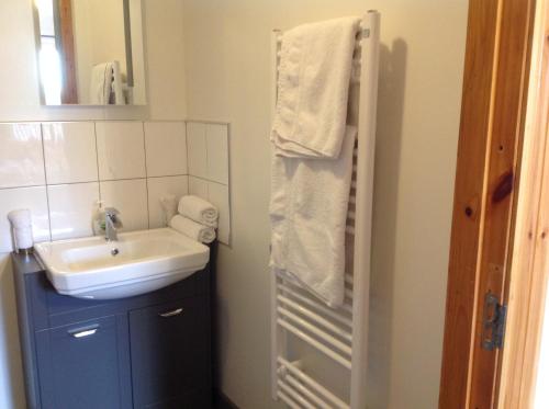 a bathroom with a sink and a shower at Dunroamin Self-Catering Apartment in Aviemore