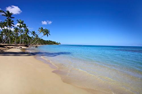 a sandy beach with palm trees and the ocean at Bahia Principe Grand El Portillo - All Inclusive in Las Terrenas