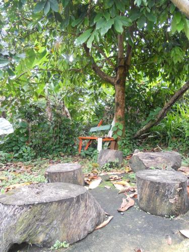 a park with three logs and a bench under a tree at Drapers San Guest House in Port Antonio