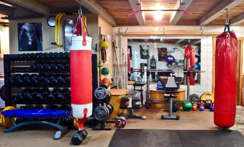 a gym with two red boxing bags and weights at Tree House Lodge Bed & Breakfast in Cheviot