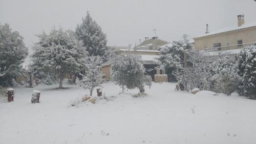 a yard covered in snow with trees and a building at Casa Rural La Granja in Letur