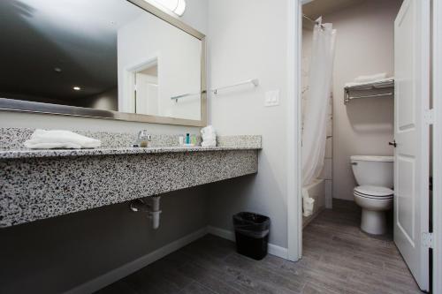 a bathroom with a sink and a toilet at Palace Inn-529 in Hot Wells