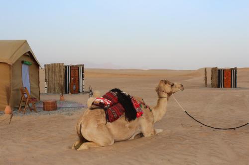 a camel sitting in the sand in the desert at Legend Desert camp in Fulayj al Mashāʼikh