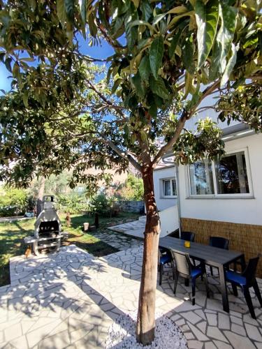 Apartmani Palmas Rijeka