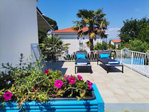 Apartman Maslina