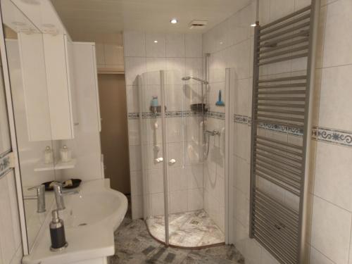 a bathroom with a shower and a toilet and a sink at Vakantiehuis ''De Bolle'' in Bathmen