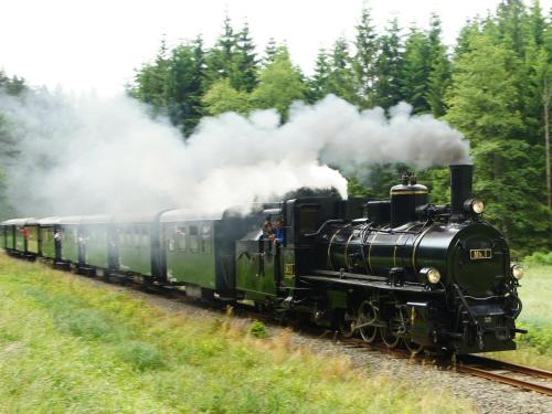 a steam engine train is traveling down the tracks at Haus Herrensee Litschau in Litschau