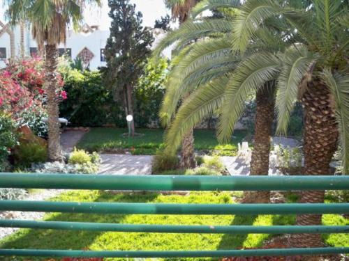 a green bench in a garden with palm trees at Residence Tafat in Agadir